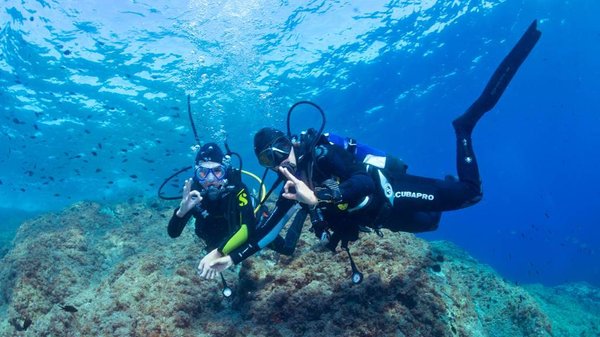 Les 3 destinations idéales pour une formation de plongée pendant vos vacances